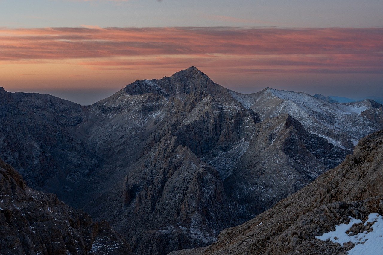 船舶代理直播平台